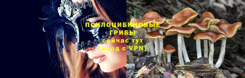 купить наркотик  Ленск  Галлюциногенные грибы MAGIC MUSHROOMS 